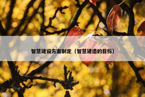 智慧建设方案制定（智慧建造的目标）-第1张图片-冷动云