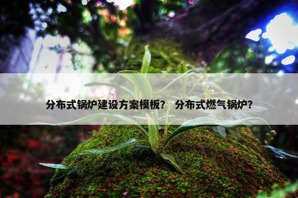 分布式锅炉建设方案模板？ 分布式燃气锅炉？-第1张图片-冷动云