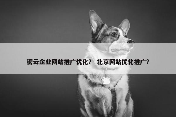 密云企业网站推广优化？ 北京网站优化推广？-第1张图片-冷动云