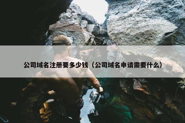 公司域名注册要多少钱（公司域名申请需要什么）-第1张图片-冷动云