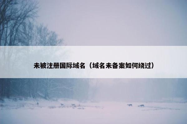 未被注册国际域名（域名未备案如何绕过）-第1张图片-冷动云