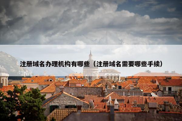 注册域名办理机构有哪些（注册域名需要哪些手续）-第1张图片-冷动云