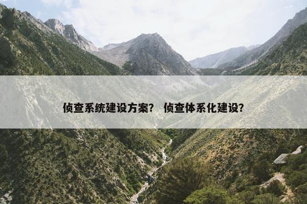 侦查系统建设方案？ 侦查体系化建设？-第1张图片-冷动云