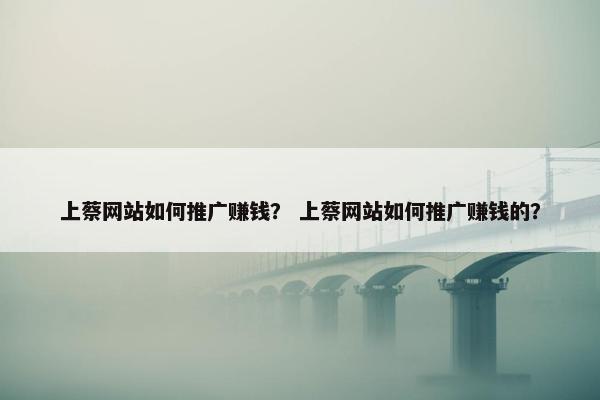 上蔡网站如何推广赚钱？ 上蔡网站如何推广赚钱的？-第1张图片-冷动云