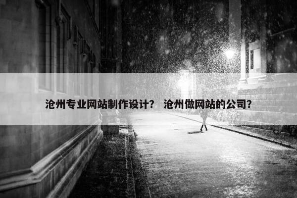 沧州专业网站制作设计？ 沧州做网站的公司？-第1张图片-冷动云
