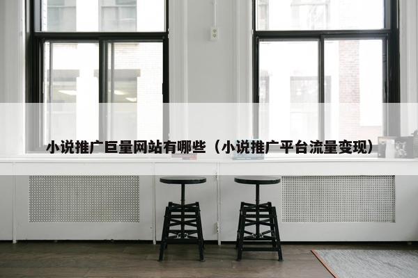 小说推广巨量网站有哪些（小说推广平台流量变现）-第1张图片-冷动云