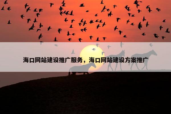 海口网站建设推广服务，海口网站建设方案推广-第1张图片-冷动云