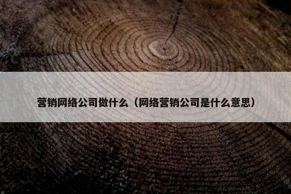 营销网络公司做什么（网络营销公司是什么意思）-第1张图片-冷动云