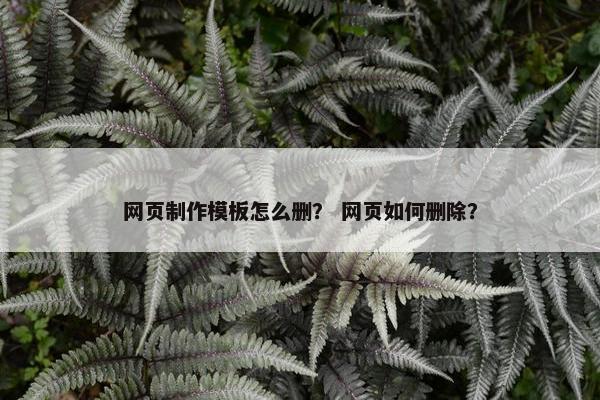 网页制作模板怎么删？ 网页如何删除？-第1张图片-冷动云