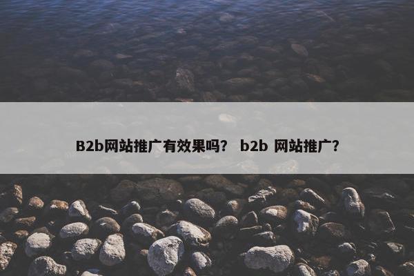B2b网站推广有效果吗？ b2b 网站推广？-第1张图片-冷动云