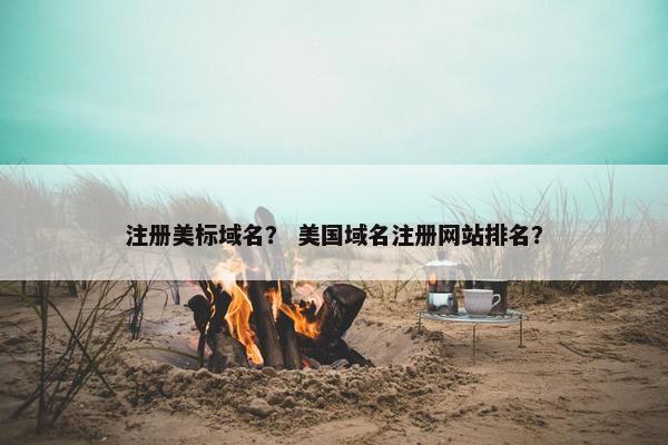 注册美标域名？ 美国域名注册网站排名？-第1张图片-冷动云