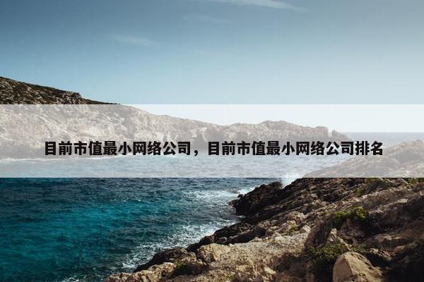 目前市值最小网络公司，目前市值最小网络公司排名-第1张图片-冷动云
