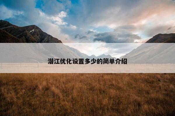 潜江优化设置多少的简单介绍-第1张图片-冷动云