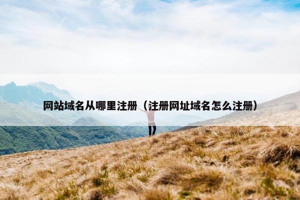 网站域名从哪里注册（注册网址域名怎么注册）-第1张图片-冷动云