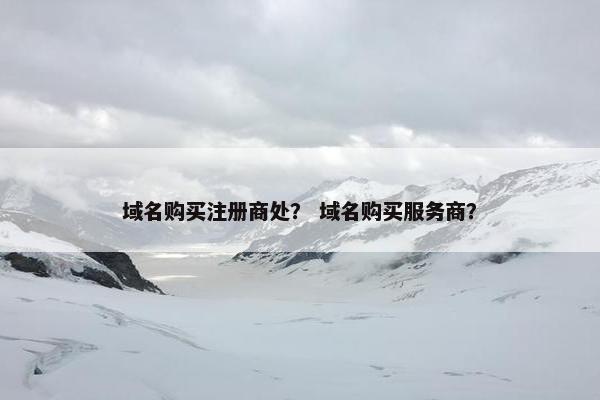 域名购买注册商处？ 域名购买服务商？-第1张图片-冷动云