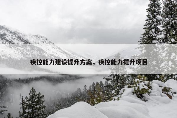 疾控能力建设提升方案，疾控能力提升项目-第1张图片-冷动云