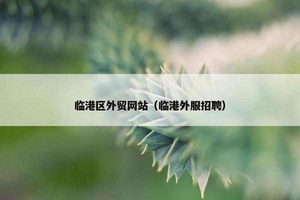 临港区外贸网站（临港外服招聘）-第1张图片-冷动云