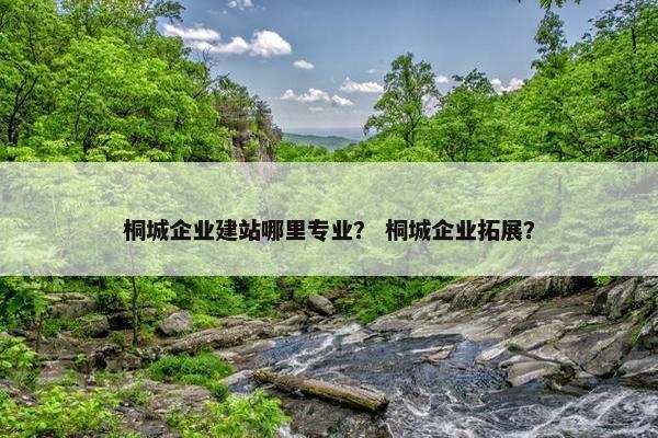 桐城企业建站哪里专业？ 桐城企业拓展？-第1张图片-冷动云