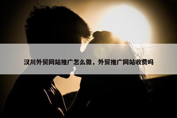 汉川外贸网站推广怎么做，外贸推广网站收费吗-第1张图片-冷动云