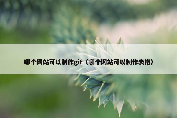 哪个网站可以制作gif（哪个网站可以制作表格）-第1张图片-冷动云