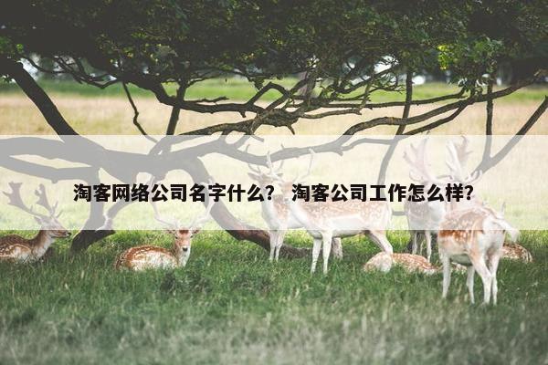 淘客网络公司名字什么？ 淘客公司工作怎么样？-第1张图片-冷动云