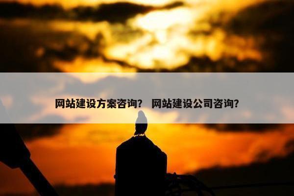 网站建设方案咨询？ 网站建设公司咨询？-第1张图片-冷动云