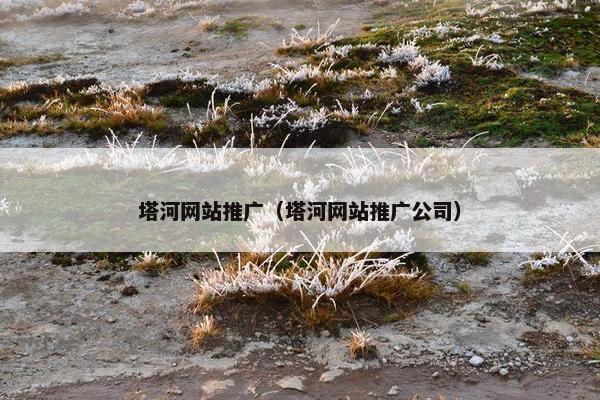 塔河网站推广（塔河网站推广公司）-第1张图片-冷动云