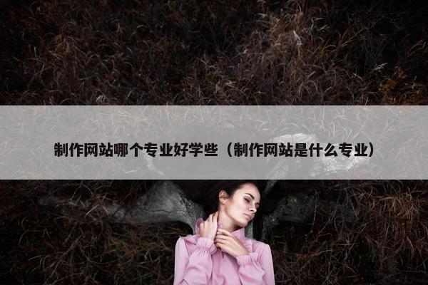 制作网站哪个专业好学些（制作网站是什么专业）-第1张图片-冷动云