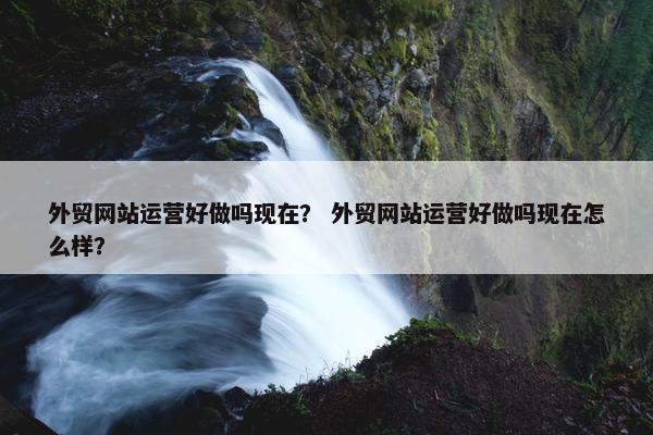 外贸网站运营好做吗现在？ 外贸网站运营好做吗现在怎么样？-第1张图片-冷动云
