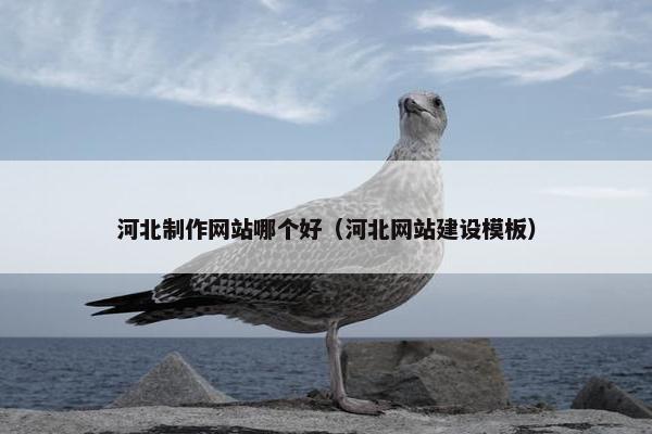 河北制作网站哪个好（河北网站建设模板）-第1张图片-冷动云