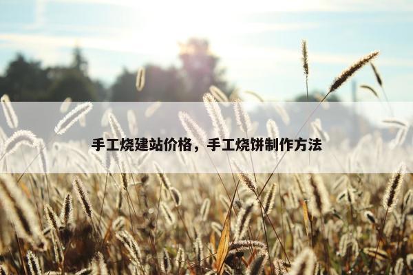 手工烧建站价格，手工烧饼制作方法-第1张图片-冷动云