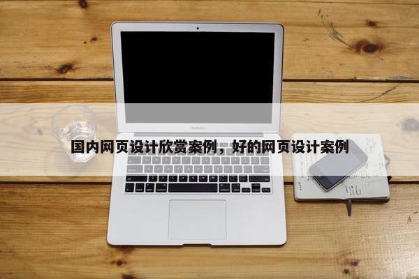 国内网页设计欣赏案例，好的网页设计案例-第1张图片-冷动云