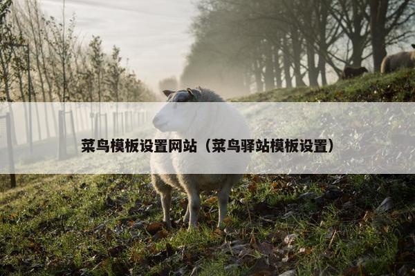 菜鸟模板设置网站（菜鸟驿站模板设置）-第1张图片-冷动云