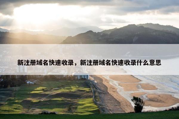 新注册域名快速收录，新注册域名快速收录什么意思-第1张图片-冷动云