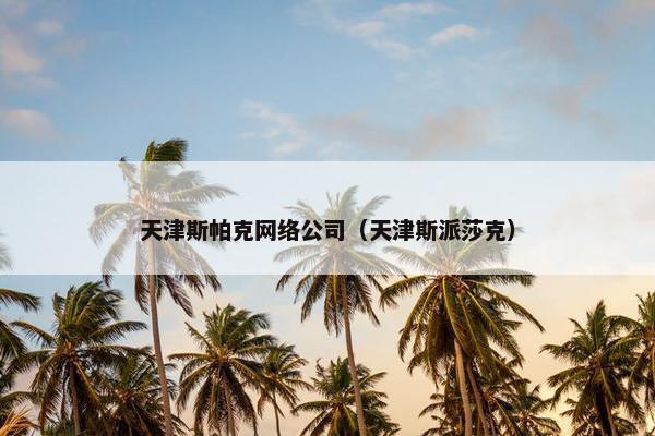 天津斯帕克网络公司（天津斯派莎克）-第1张图片-冷动云