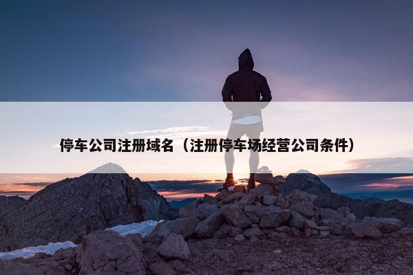 停车公司注册域名（注册停车场经营公司条件）-第1张图片-冷动云
