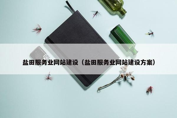 盐田服务业网站建设（盐田服务业网站建设方案）-第1张图片-冷动云