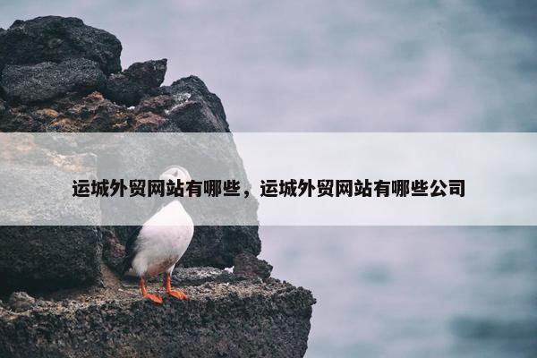 运城外贸网站有哪些，运城外贸网站有哪些公司-第1张图片-冷动云