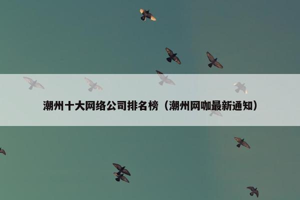 潮州十大网络公司排名榜（潮州网咖最新通知）-第1张图片-冷动云
