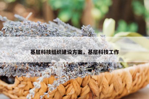 基层科技组织建设方案，基层科技工作-第1张图片-冷动云