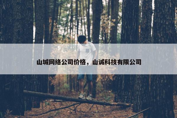 山城网络公司价格，山诚科技有限公司-第1张图片-冷动云