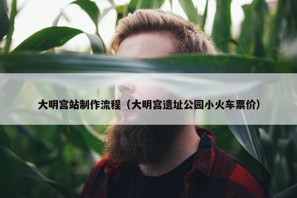 大明宫站制作流程（大明宫遗址公园小火车票价）-第1张图片-冷动云