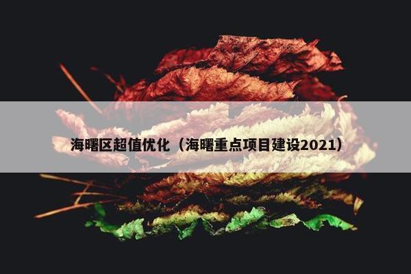 海曙区超值优化（海曙重点项目建设2021）-第1张图片-冷动云