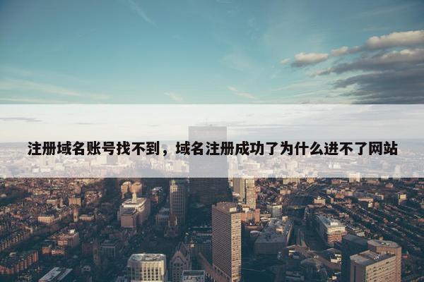注册域名账号找不到，域名注册成功了为什么进不了网站-第1张图片-冷动云