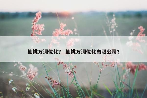 仙桃万词优化？ 仙桃万词优化有限公司？-第1张图片-冷动云
