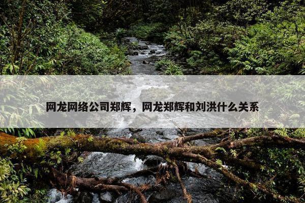 网龙网络公司郑辉，网龙郑辉和刘洪什么关系-第1张图片-冷动云