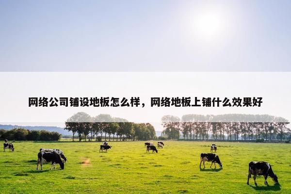 网络公司铺设地板怎么样，网络地板上铺什么效果好-第1张图片-冷动云