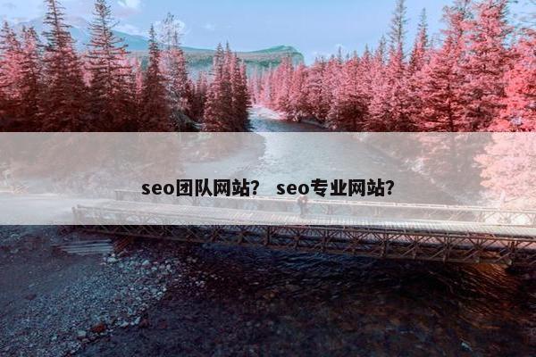 seo团队网站？ seo专业网站？-第1张图片-冷动云