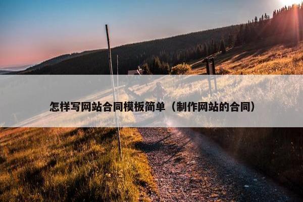 怎样写网站合同模板简单（制作网站的合同）-第1张图片-冷动云
