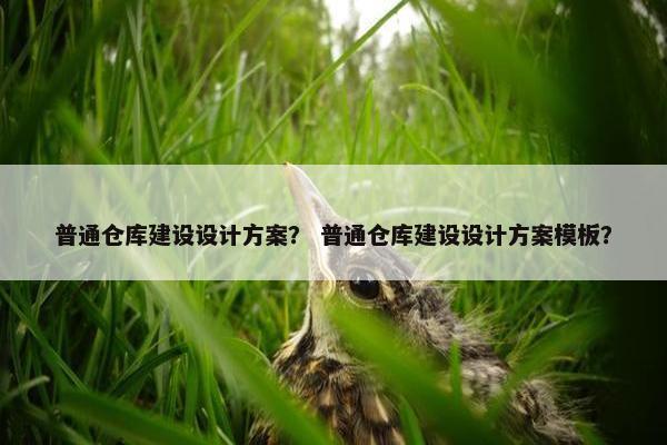 普通仓库建设设计方案？ 普通仓库建设设计方案模板？-第1张图片-冷动云